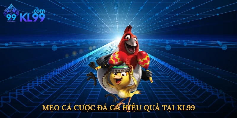 Mẹo cá cược đá gà hiệu quả tại KL99